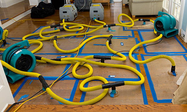 Professional Structural Drying And Dehumidification technician working in Southlake, TX